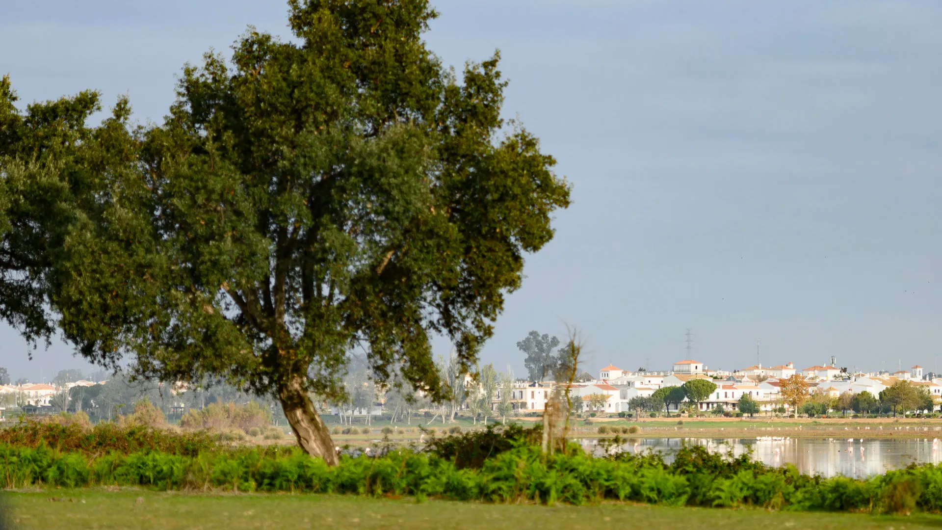 Vista de las marismas junto a la aldea de El Rocío en el Parque Nacional de Doñana 