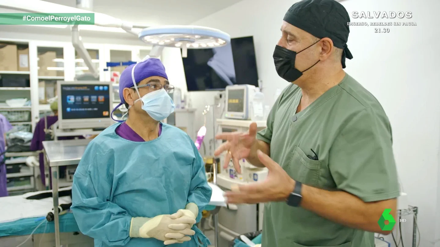 La artroscopia, un gran medio diagnóstico y de tratamiento para las articulaciones La artroscopia, un gran medio diagnóstico y de tratamiento para las articulaciones