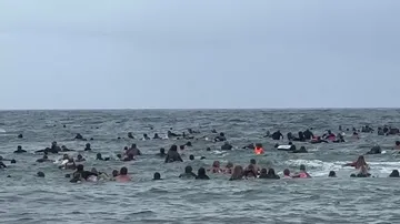 Los activistas se echaron al agua con sus tablas de surf, en Newcastle, Australia.