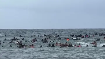 More than 100 climate activists arrested for blocking a coal port in Australia for more than 30 hours More than 100 climate activists arrested for blocking a coal port in Australia for more than 30 hours