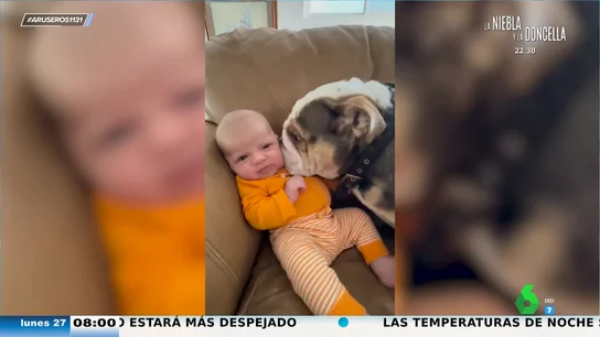 Así reacciona este bebé cuando su perro le lame desde la punta de los dedos de los pies hasta las orejas Así reacciona este bebé cuando su perro le lame desde la punta de los dedos de los pies hasta las orejas