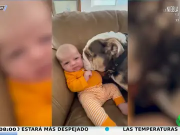 Así reacciona este bebé cuando su perro le lame desde la punta de los dedos de los pies hasta las orejas