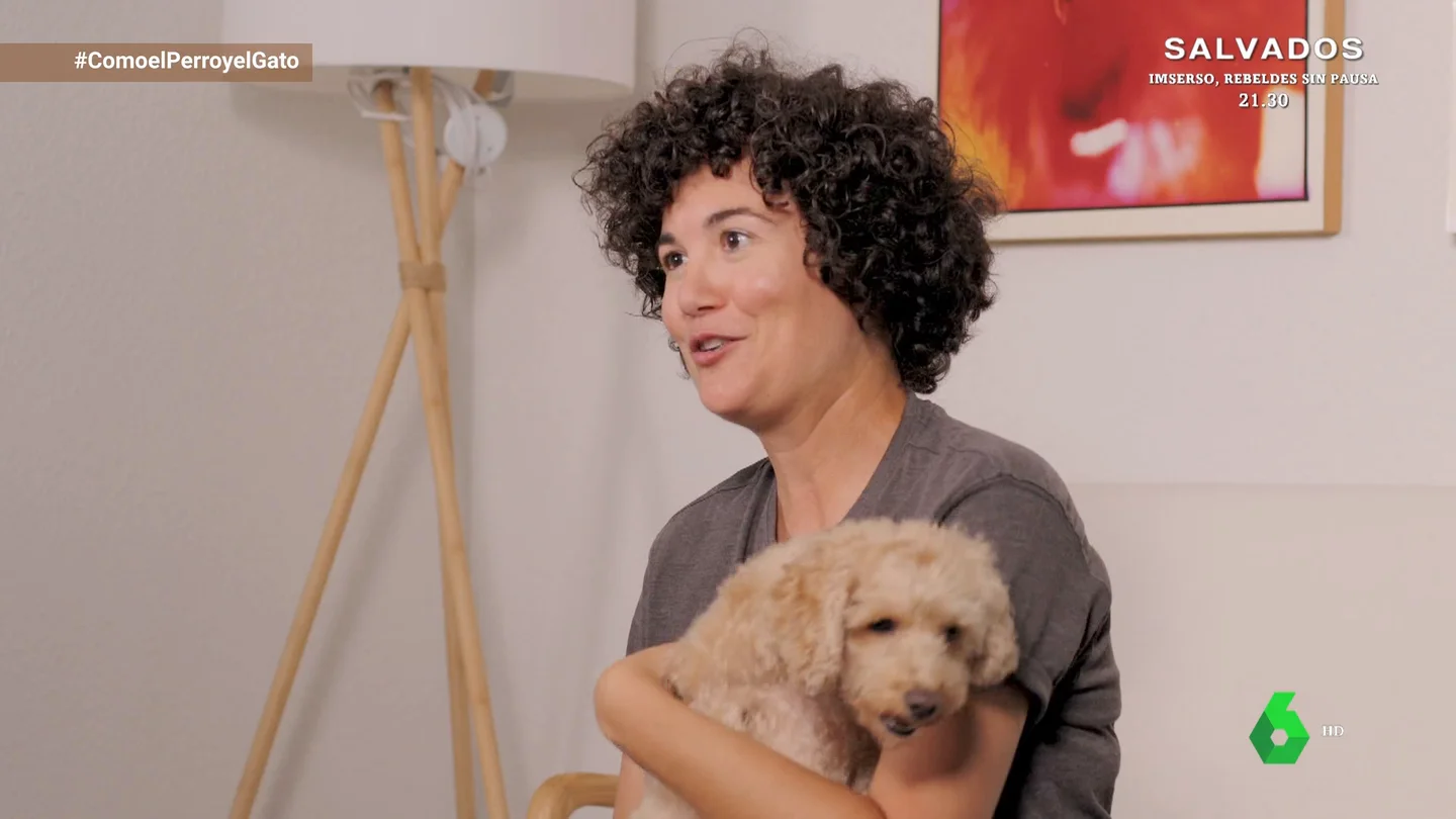 De enemigo a aliado: el transportín como lugar de confort de nuestro perro De enemigo a aliado: el transportín como lugar de confort de nuestro perro