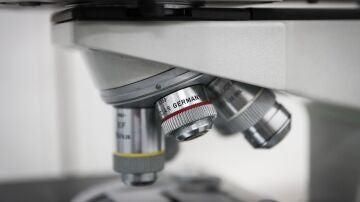 Ensayo en un laboratorio
