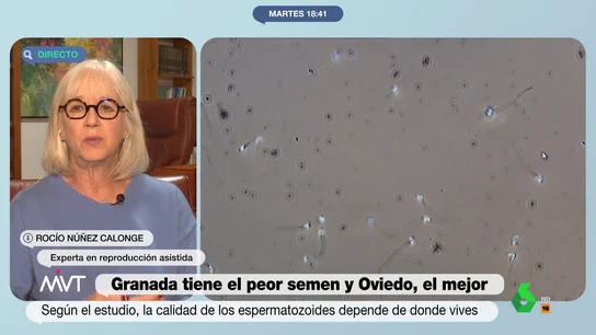 ¿Qué factores son más perjudiciales para la calidad del semen? Una experta en reproducción asistida lo explica Más Vale Tarde conversa con Rocío Núñez Calonge, experta en reproducción asistida y autora del estudio que concluye que Oviedo es la ciudad de España con mejor calidad del semen y Granada la peor. Su análisis, en este vídeo.