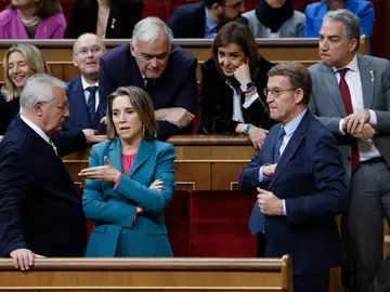 Los diputados del PP, durante el arranque de la legislatura en el Congreso