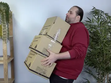 Masa muscular Masa muscular