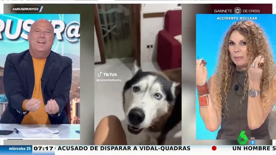 El sorprendente caso del perro que tiene acento italiano: "Le falta poner las patitas así" El sorprendente caso del perro que tiene acento italiano: "Le falta poner las patitas así"