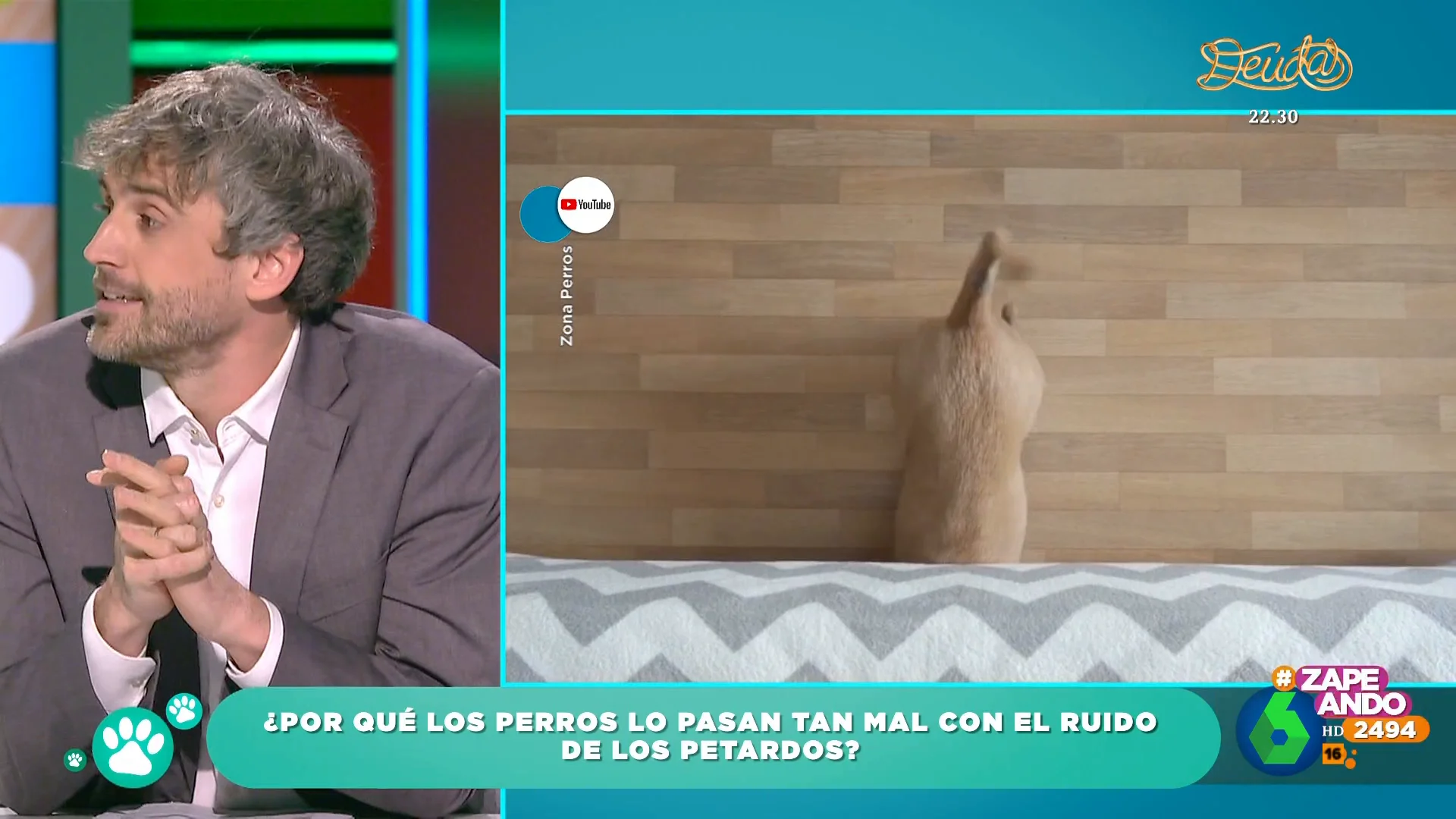 El veterinario Víctor Algra explica por qué los animales lo pasan tan mal con el ruido de los petardos