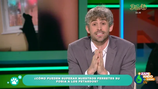 ¿Cómo podemos calmar a nuestras mascotas ante los petardos? El veterinario Víctor Algra da algunos trucos ¿Cómo podemos calmar a nuestras mascotas ante los petardos? El veterinario Víctor Algra da algunos trucos