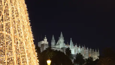 Palma en Navidad Palma en Navidad