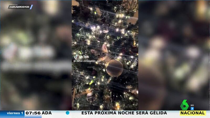 El adorable gatito que se camufla entre la decoración para colarse en el árbol de Navidad
