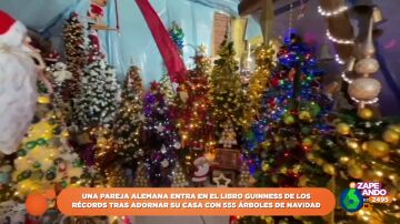 Una pareja bate un récord Guinness al decorar su casa con 555 árboles de Navidad: este es el resultado 