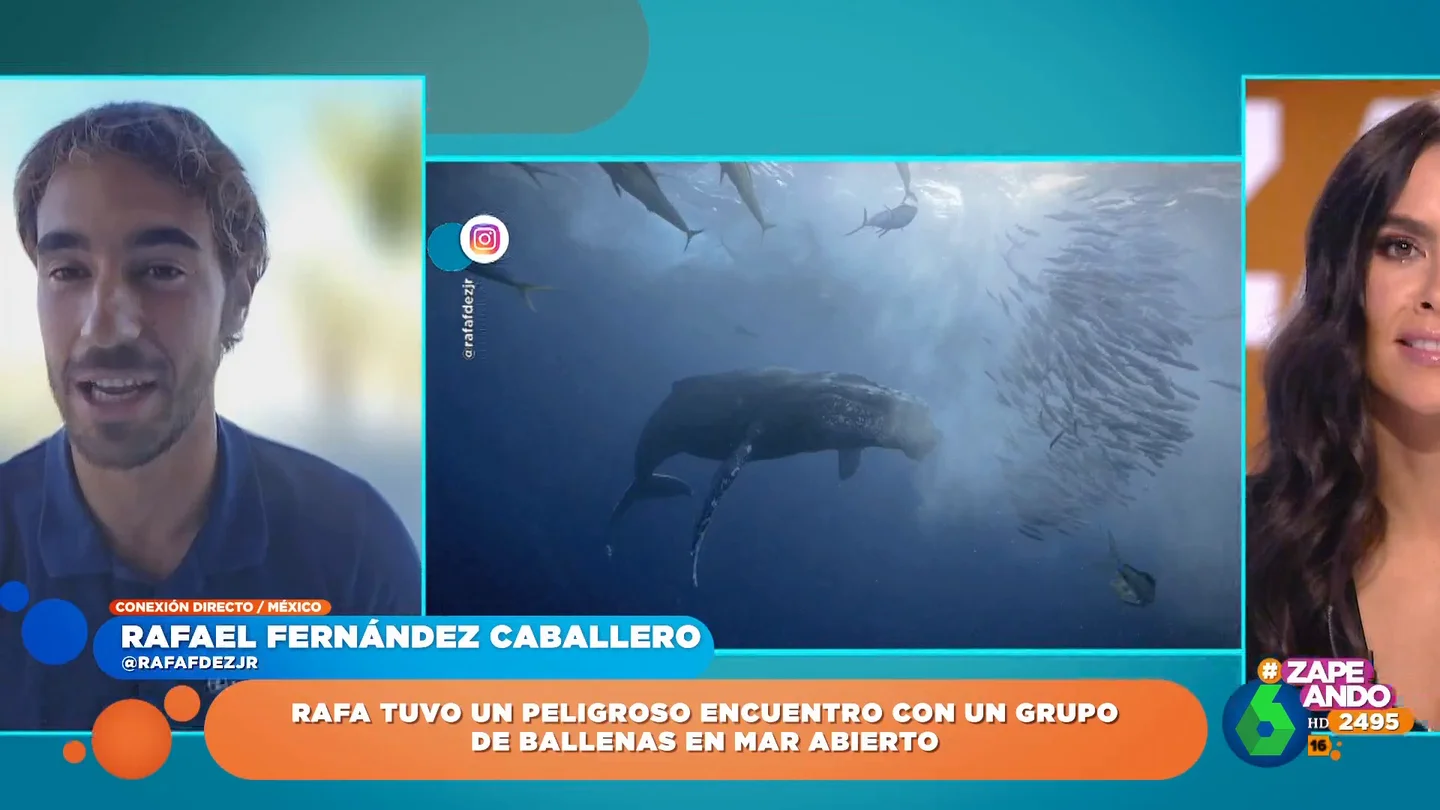 El peligroso encuentro con una ballena del fotógrafo Rafael Fernández: "Es el momento más loco que he tenido" El peligroso encuentro con una ballena del fotógrafo Rafael Fernández: "Es el momento más loco que he tenido"