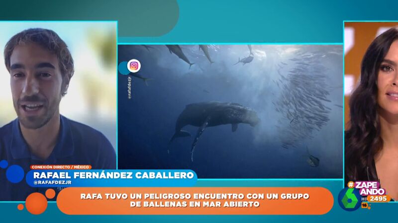 El peligroso encuentro con una ballena del fotógrafo Rafael Fernández: "Es el momento más loco que he tenido"
