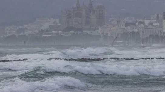 Fuertes rachas de viento durante la tarde del sábado en la Bahía de Palma. Fuertes rachas de viento durante la tarde del sábado en la Bahía de Palma.