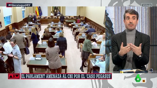 ¿Para qué sirven las comisiones de investigación? Pablo Simón responde ¿Para qué sirven las comisiones de investigación? Pablo Simón responde