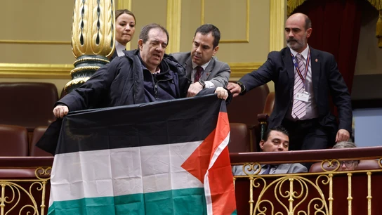 Un asistente despliega una bandera palestina durante el pleno del Congreso en el que comparece José Manuel Albares Un asistente despliega una bandera palestina durante el pleno del Congreso en el que comparece José Manuel Albares