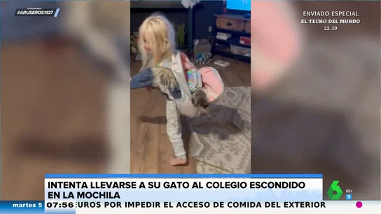 Una niña intenta llevarse a su gato con ella al cole escondido en su mochila Una niña intenta llevarse a su gato con ella al cole escondido en su mochila