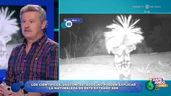 Las locas teorías de Miki Nadal e Iñaki Urrutia sobre el extraño mamífero que baila frente a una cámara "Es una escobilla de váter clavada y a la que le da el aire", comenta Iñaki Urrutia, mientras Miki Nadal ve un inquietante parecido con un colaborador de Zapeando. Este y otros casos paranormales, de extraterrestres a duendes, en este vídeo.