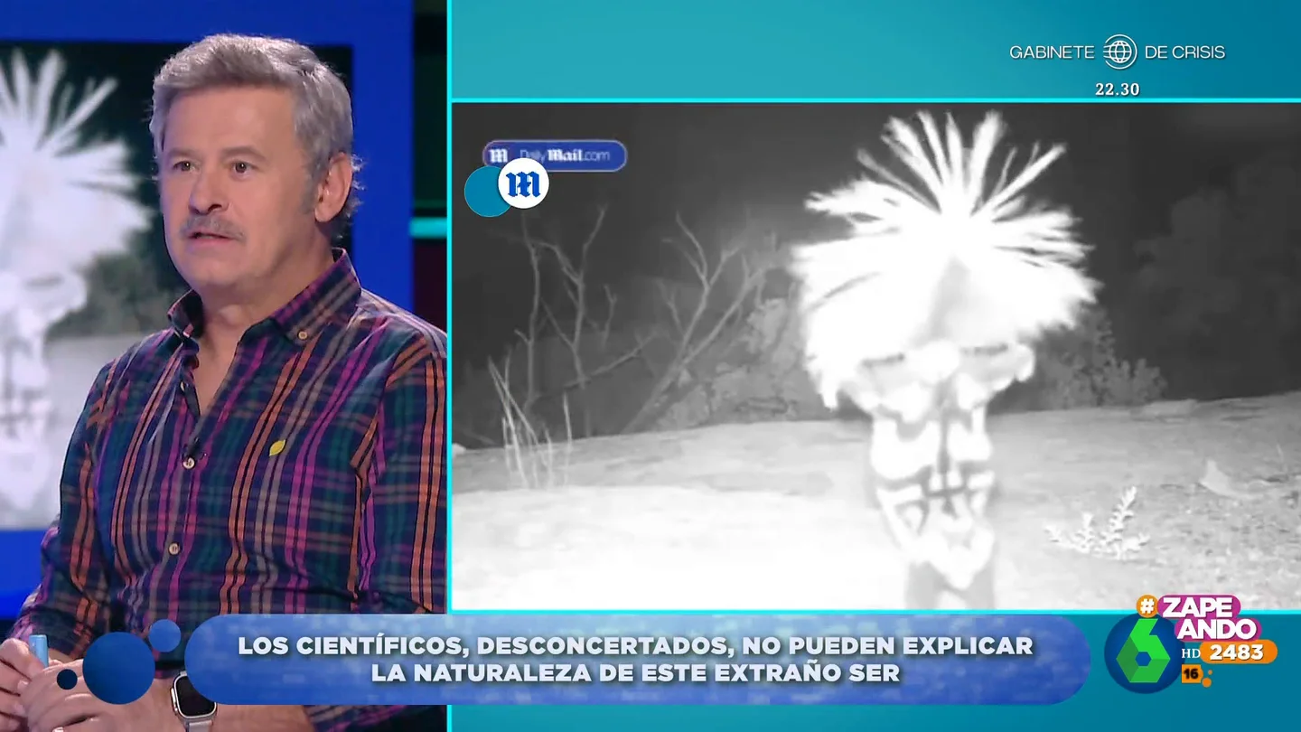 Las locas teorías de Miki Nadal e Iñaki Urrutia sobre el extraño mamífero que baila frente a una cámara "Es una escobilla de váter clavada y a la que le da el aire", comenta Iñaki Urrutia, mientras Miki Nadal ve un inquietante parecido con un colaborador de Zapeando. Este y otros casos paranormales, de extraterrestres a duendes, en este vídeo.