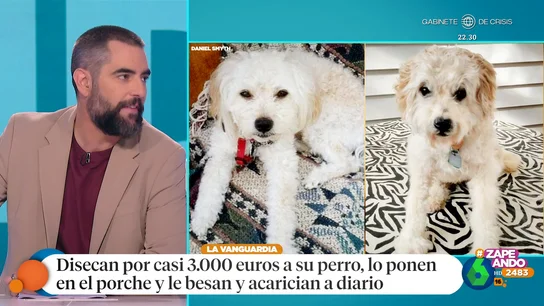 La insólita idea de una familia tras la muerte de su perro para evitar que desapareciera de sus vidas La insólita idea de una familia tras la muerte de su perro para evitar que desapareciera de sus vidas
