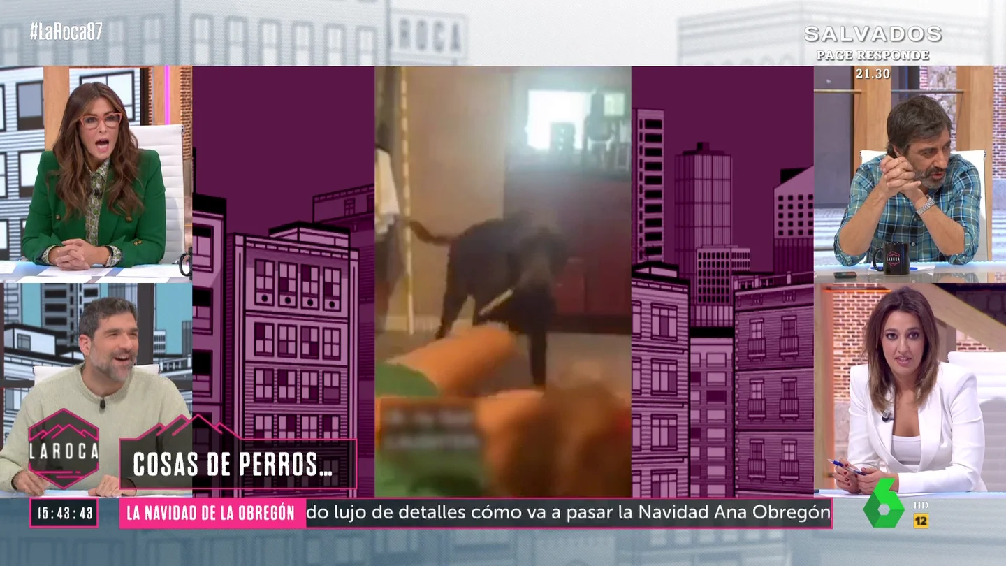 Vídeo viral en La Roca Vídeo viral en La Roca