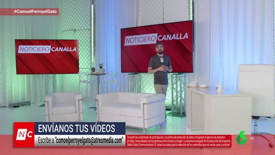 “Hombre vs canguro” por un perro y las ranas que se hacen las muertas para dar calabazas a los machos “Hombre vs canguro” por un perro y las ranas que se hacen las muertas para dar calabazas a los machos