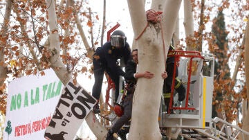 Protesta por el comienzo de la tala de árboles en el parque de Arganzuela