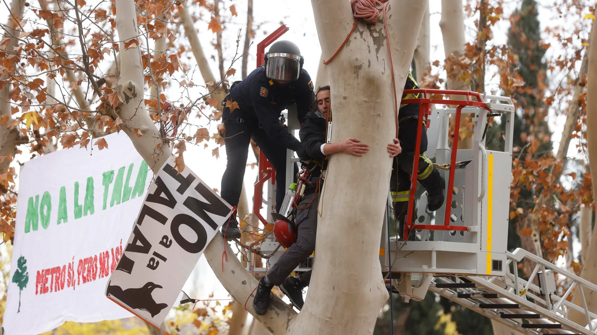 Protesta por el comienzo de la tala de árboles en el parque de Arganzuela