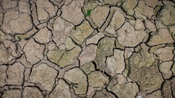 Catalunya se prepara para la emergencia por sequía