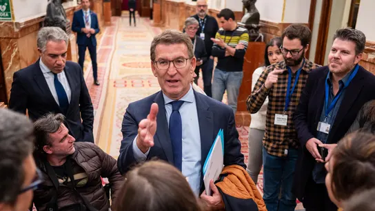 El líder del PP, Alberto Núñez Feijóo El líder del PP, Alberto Núñez Feijóo