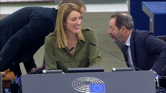 El ladrido de un perro se cuela en el Parlamento europeo El ladrido de un perro se cuela en el Parlamento europeo