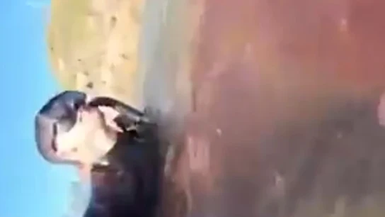 Un buceador graba el salvaje ataque de un tiburón: "Pensé que no sobreviviría..." Un buceador graba el salvaje ataque de un tiburón: "Pensé que no sobreviviría..."