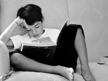 Un niño lee un libro Un niño lee un libro