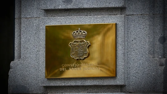 El CGPJ examinará la legalidad de las comisiones del lawfare El CGPJ examinará la legalidad de las comisiones del lawfare/ EFE/ Rodrigo Jiménez