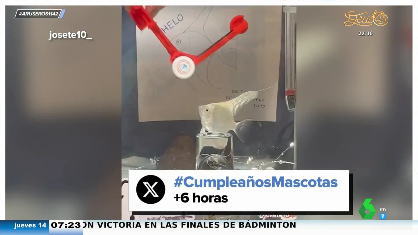 El espectacular cumpleaños que un grupo de amigos organiza a su pez Chelo: "Le he hecho un dibujito" El espectacular cumpleaños que un grupo de amigos organiza a su pez Chelo: "Le he hecho un dibujito"