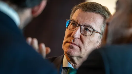 El presidente del PP, Alberto Núñez Feijóo. El presidente del PP, Alberto Núñez Feijóo.