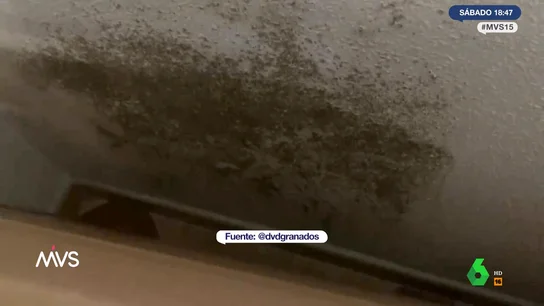 Humedades, habitaciones sin paredes y una cama en el balcón: así es el "piso de los horrores" de Alcorcón anunciado en Airbnb Humedades, habitaciones sin paredes y una cama en el balcón: así es el "piso de los horrores" de Alcorcón anunciado en Airbnb