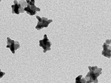 Consiguen medir la temperatura de nanopartículas en células tumorales con rayos X