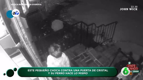 ZAPEANDO: Viral ni&ntilde;o se choca con puerta y su perro le imita
