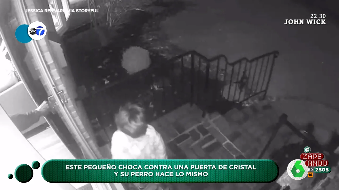 ZAPEANDO: Viral niño se choca con puerta y su perro le imita ZAPEANDO: Viral niño se choca con puerta y su perro le imita