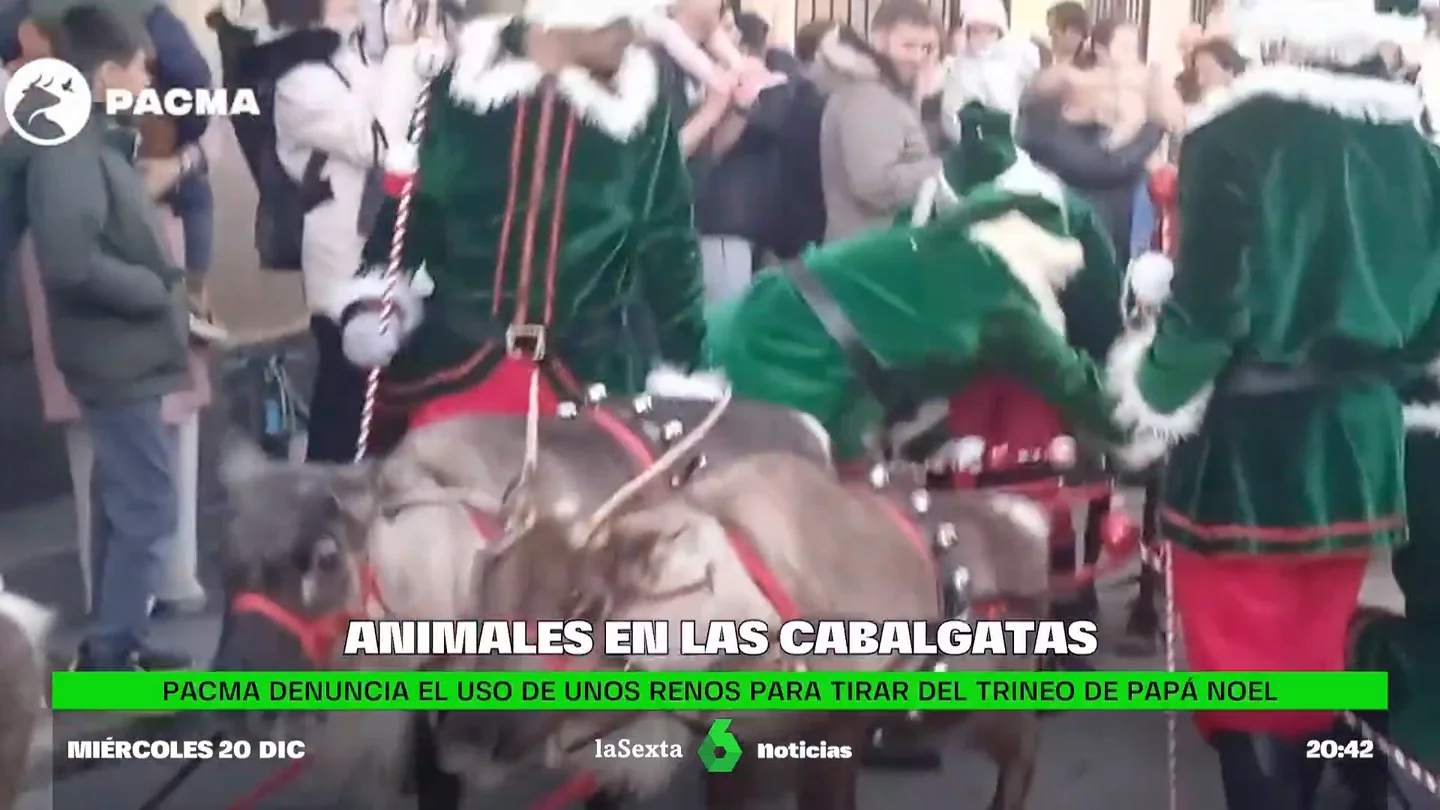 DenunciaPACMArenos DenunciaPACMArenos