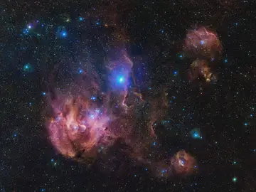 La Nebulosa del Pollo Corredor, al detalle en una nueva imagen de 1.500 millones de píxeles de ESO La Nebulosa del Pollo Corredor, al detalle en una nueva imagen de 1.500 millones de píxeles de ESO
