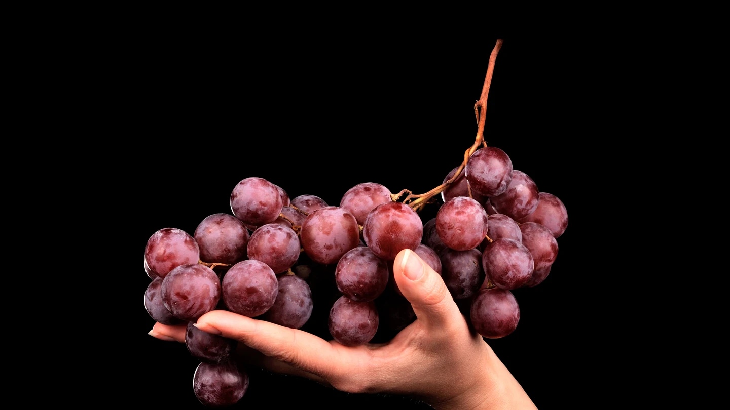 El 'secreto' de las uvas: el ingrediente que ayuda a prevenir las células cancerígenas El 'secreto' de las uvas: el ingrediente que ayuda a prevenir las células cancerígenas