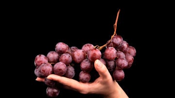El 'secreto' de las uvas: el ingrediente que ayuda a prevenir las células cancerígenas 