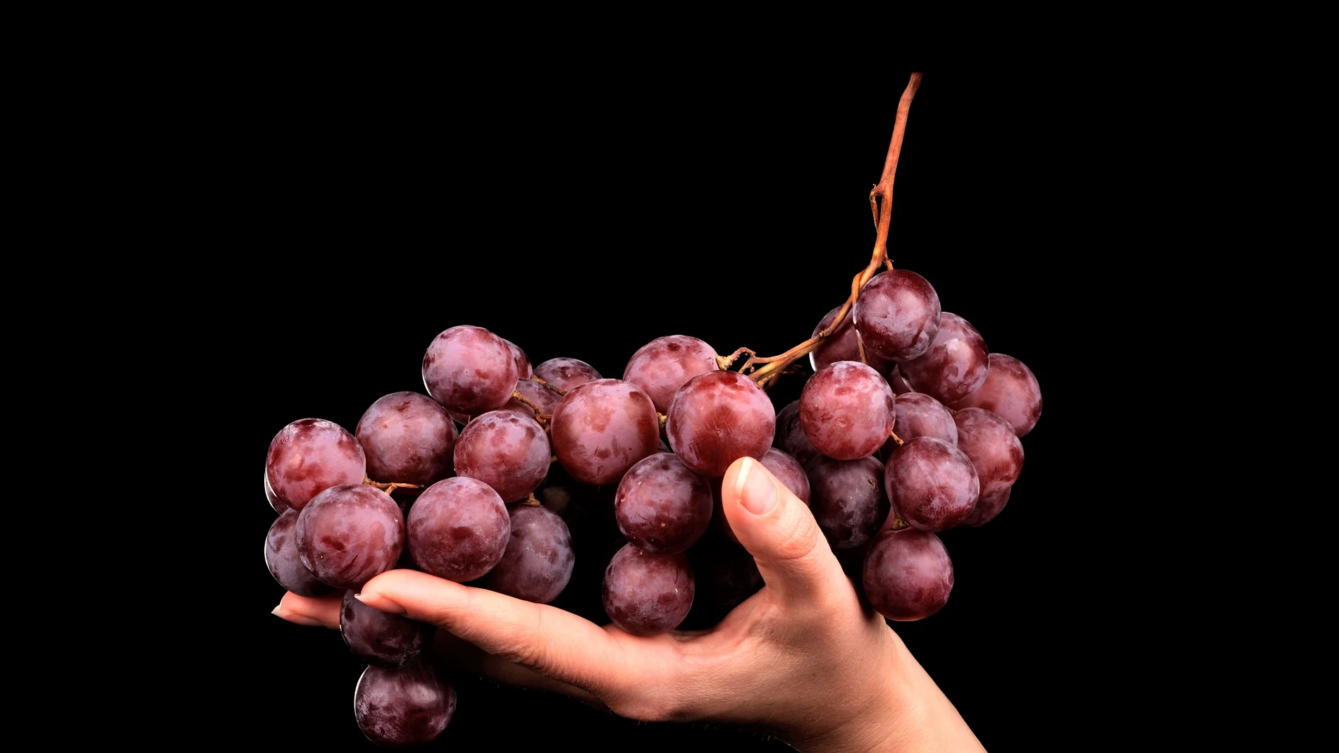 El &#39;secreto&#39; de las uvas: el ingrediente que ayuda a prevenir las células cancerígenas 