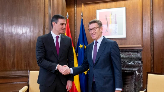 Sánchez y Feijóo acuerda una reforma exprés del articulo 49 de la Constitución sin referéndum Sánchez y Feijóo acuerda una reforma exprés del articulo 49 de la Constitución sin referéndum