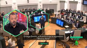 Maestre censura el comportamiento de Ortega Smith, propio de "un fascista y falangista": "Ha mamado en su familia la violencia política"