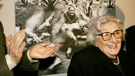 Rosa Chacel en una foto de archivo. Rosa Chacel en una foto de archivo.